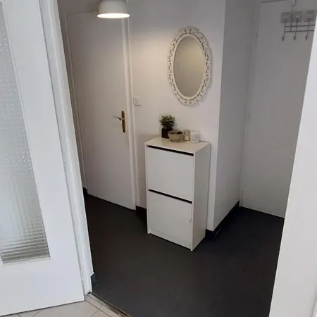 Appartement Au Calme Avec Balcon Proche Geneve Gaillard Buitenkant foto