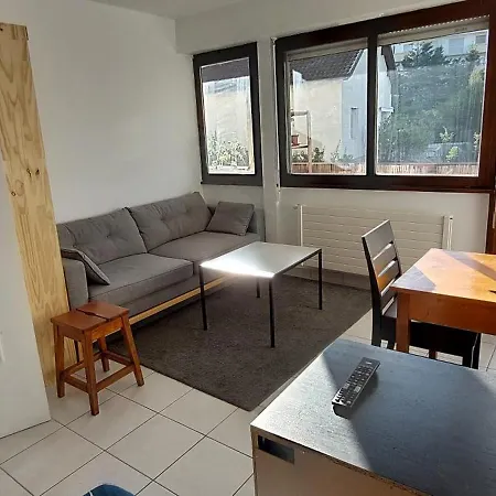 Appartement Au Calme Avec Balcon Proche Geneve Gaillard Buitenkant foto