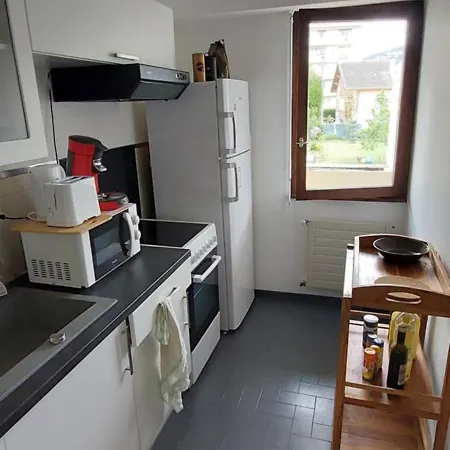 Appartement Au Calme Avec Balcon Proche Geneve Gaillard Buitenkant foto